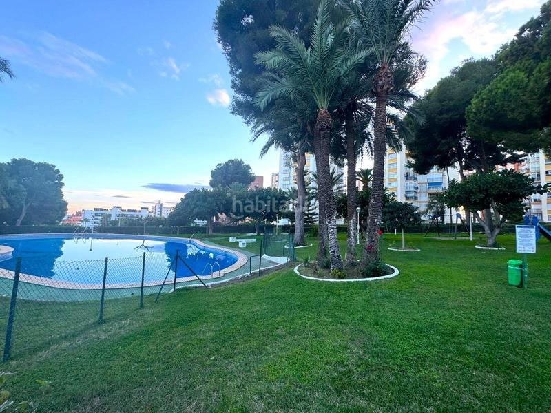 Foto 69a5c066-2772-4d45-9e82-d4cd73a8f0eb. Apartamento  en poniente a 300 mts del mar en Benidorm
