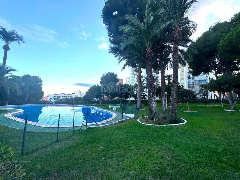 Foto b97f0d69-1685-4e13-842b-b425fe819d22. Apartamento  en poniente a 300 mts del mar en Benidorm