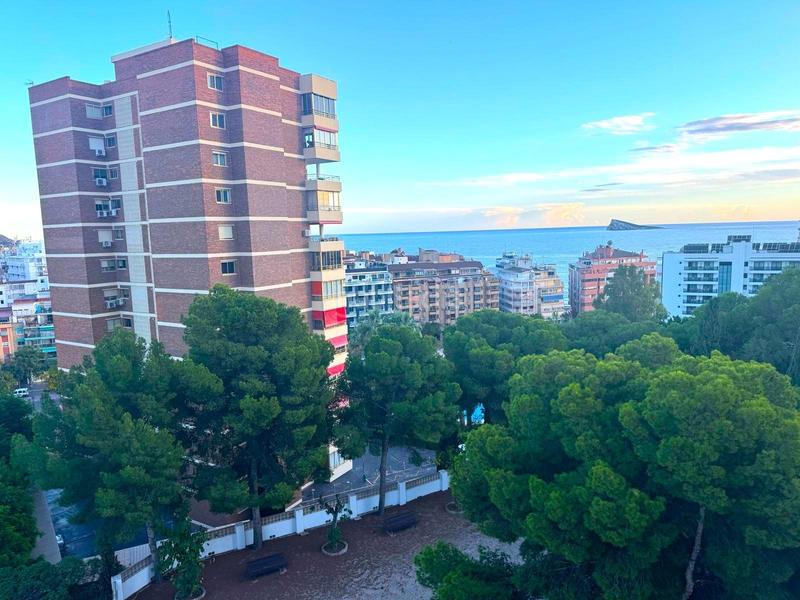 Foto f71e7db2-0347-43ad-8825-3767959cf195. Apartamento  en poniente a 300 mts del mar en Benidorm