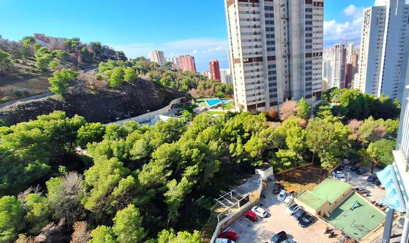 Foto f3d1c94c-89a8-45af-bae1-32cce3f22828. Etagenwohnung mit parking in Rincón Alto Benidorm