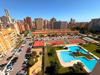 Apartamento en Juzgados - Plaza de Toros. Apartamento en benidorm  se entrega nuevo