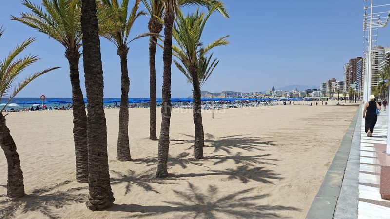Foto 544b23ff-58d8-4feb-8383-989ff7cad614. Apartament a Playa Levante Benidorm