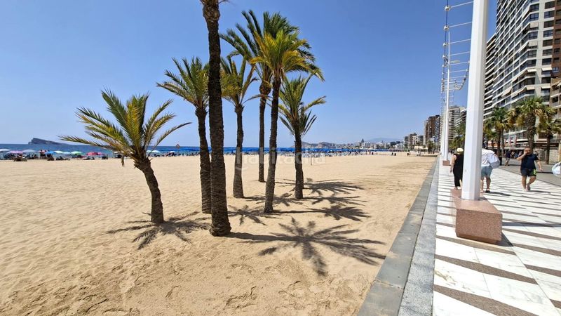 Foto 63b576c9-ca34-4ad8-b850-20969e6bb12a. Apartament a Playa Levante Benidorm