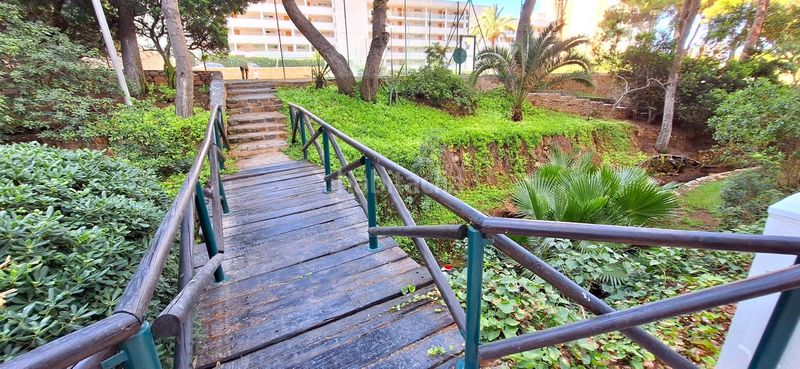 Foto 082698b4-6e52-4b94-a1b5-d23957a74e07. Piccolo appartamento con parcheggio piscina in Sierra Helada Benidorm