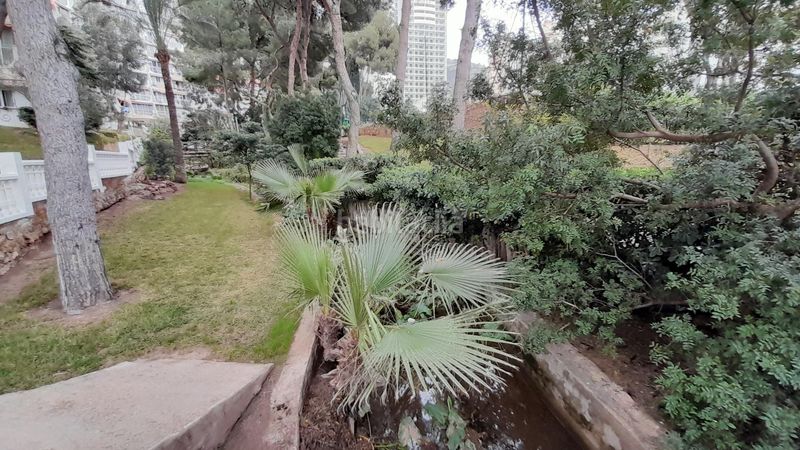 Foto 3f482348-0cd8-4918-bf51-008283c5d49d. Piccolo appartamento con parcheggio piscina in Sierra Helada Benidorm
