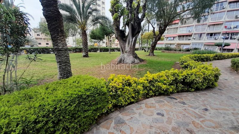 Foto a111d70f-69fe-421d-9f5d-664c1fa1c5be. Piccolo appartamento con parcheggio piscina in Sierra Helada Benidorm