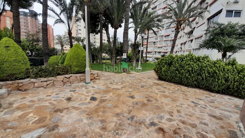 Foto a87f56d5-9ca7-44dd-93cf-12204bb1c050. Piccolo appartamento con parcheggio piscina in Sierra Helada Benidorm