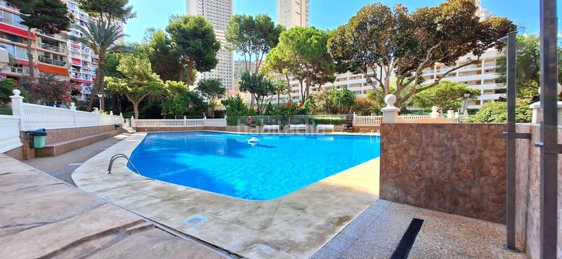 Foto e7030aa4-4d0f-43f6-a461-e38a795331c0. Piccolo appartamento con parcheggio piscina in Sierra Helada Benidorm