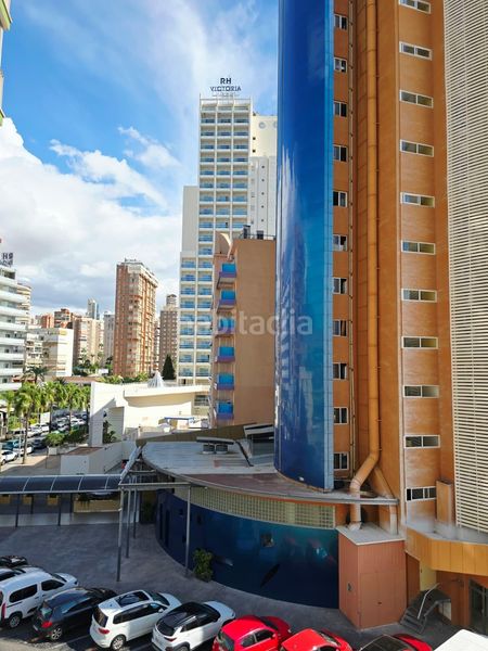 Foto 9465a364-3fb3-427f-88e5-98b126c5f7c8. Pis a Playa Levante Benidorm