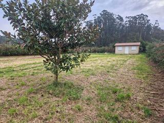 Wohngrundstück in Brión