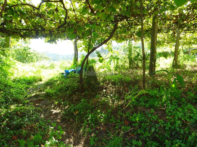 Foto d3347c8a-ff8e-4397-9ab5-c5747176744b. Terrain résidentiel dans Rois