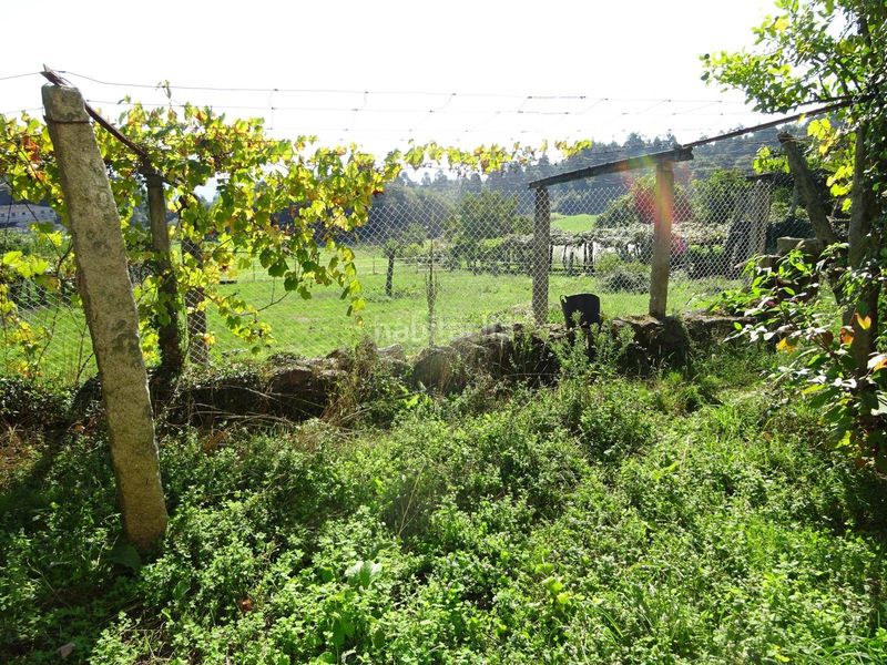 Foto 6ee4aecb-f85b-4c0b-9649-81e5a786e6c8. Maison dans Teo