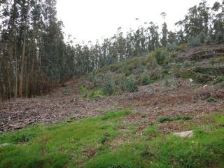 Terreno residenziale in Brión