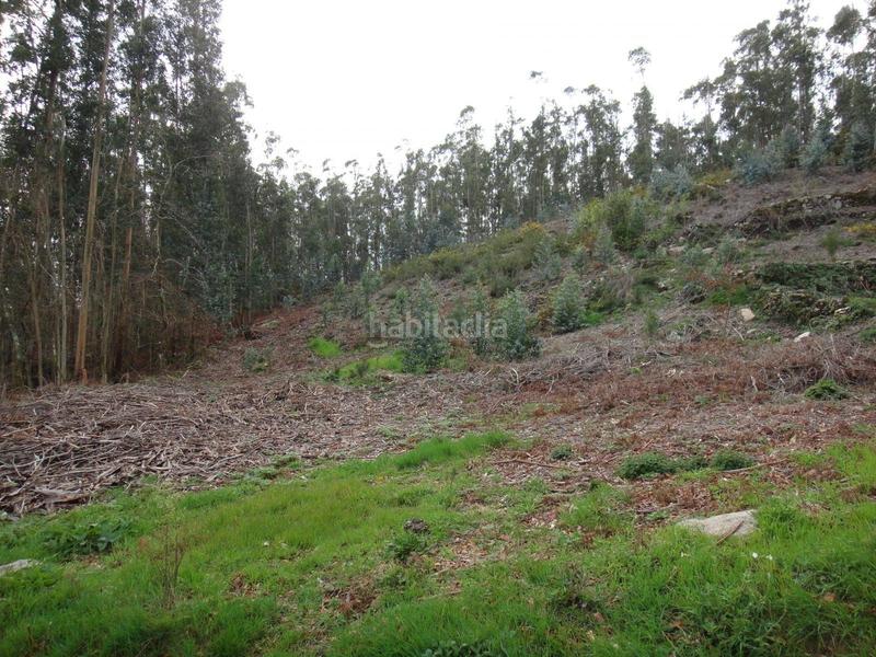 Foto 54bd41c7-0df3-4262-8493-0171c8f0a34b. Wohngrundstück in Brión