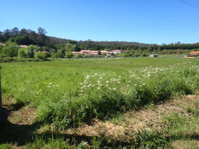 Foto fc186d49-0ee4-438f-ad72-cf46e4bc9026. Terreny residencial a Bertamirans Ames