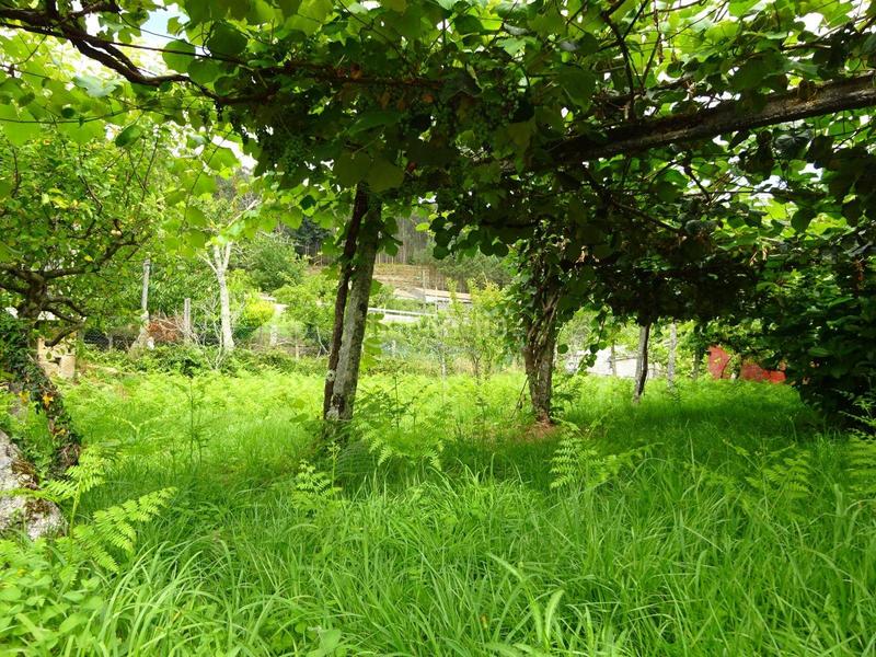 Foto c62a7510-770d-49c9-91c1-83b72b138161. Casa en Brión