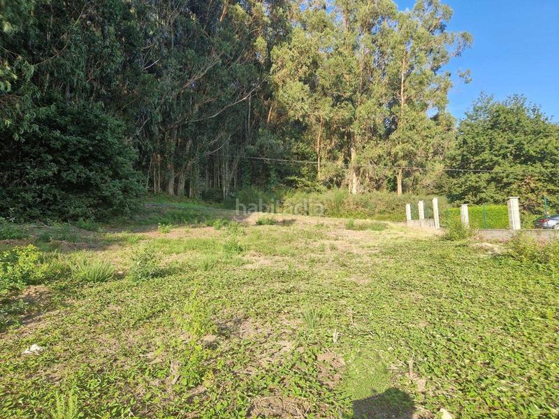 Foto bc7f37d3-5c98-47b8-8c33-cc43f75841ae. Residential plot in Brión