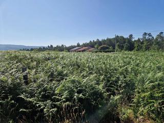 Terreno residenziale in Brión