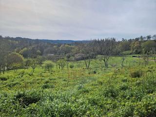Terreno residenziale in Área de Ames
