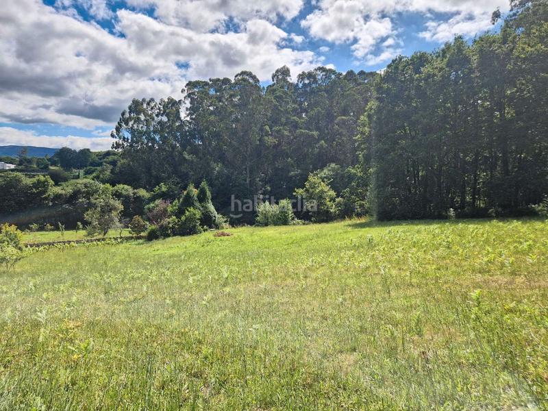 Foto 7b887049-56ea-4fc1-80cb-af7dc509831c. Terreno residenziale in Brión