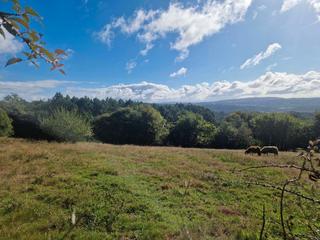 Wohngrundstück in Brión