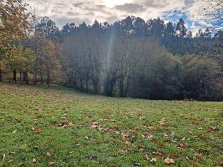Terreno residenziale in Padrón