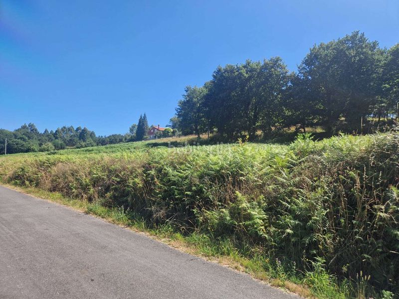 Foto c08d5d4b-18e8-4b84-b7bc-3a9635955c2b. Terreno residencial en Negreira