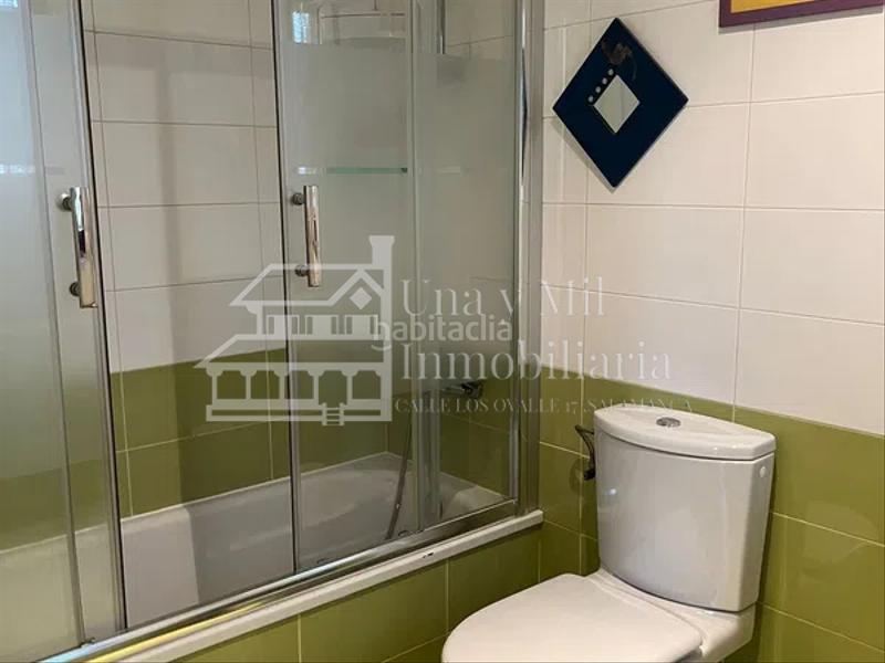 Foto 41c5bd7a-e4a0-4474-a53d-4f59fe005d20. Alquiler chalet  en Tejares - Chamberí - Alcades Salamanca