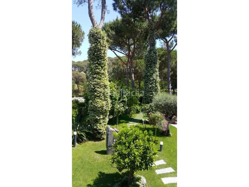 Foto 4b6477f1-128c-4d08-b6d6-0b10ec281c8f. Pis amb calefacció aparcament piscina a Santa Clotilde Lloret de Mar