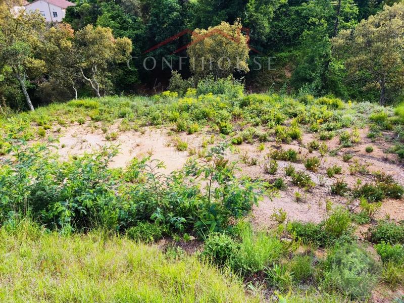 Foto 26cd1ee8-6974-4d1e-84df-25e6b2738d08. Residential plot in Niàgara Parc -Àgora Parc Tordera