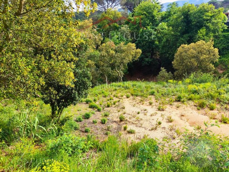 Foto 9ea13e5f-4a8a-4093-b80c-1d993d366627. Residential plot in Niàgara Parc -Àgora Parc Tordera