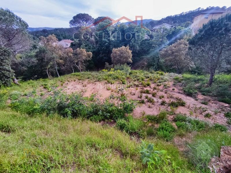 Foto aeff033e-0fd0-46ea-be66-099b09785372. Residential plot in Niàgara Parc -Àgora Parc Tordera