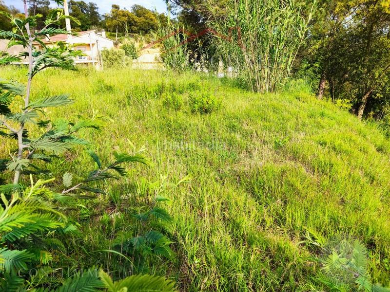 Foto cd28b196-ea58-400b-9b7c-2310a824a382. Residential plot in Niàgara Parc -Àgora Parc Tordera