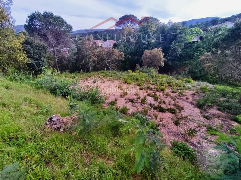 Foto f72cc397-6f52-400a-949f-144251b6d482. Residential plot in Niàgara Parc -Àgora Parc Tordera