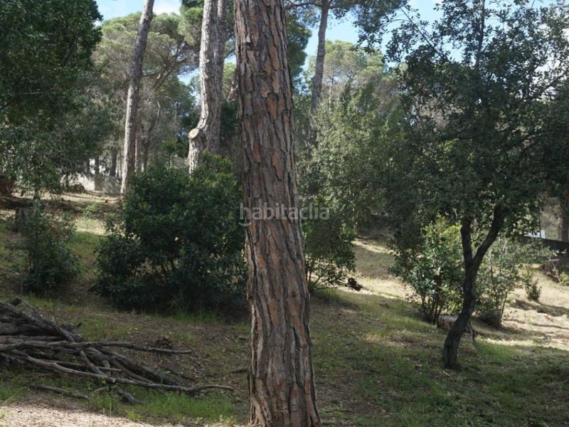 Foto 9b149b79-550a-49b7-a963-d34ee53df16e. Casa amb aparcament a Mas Mora-Sant Daniel Tordera