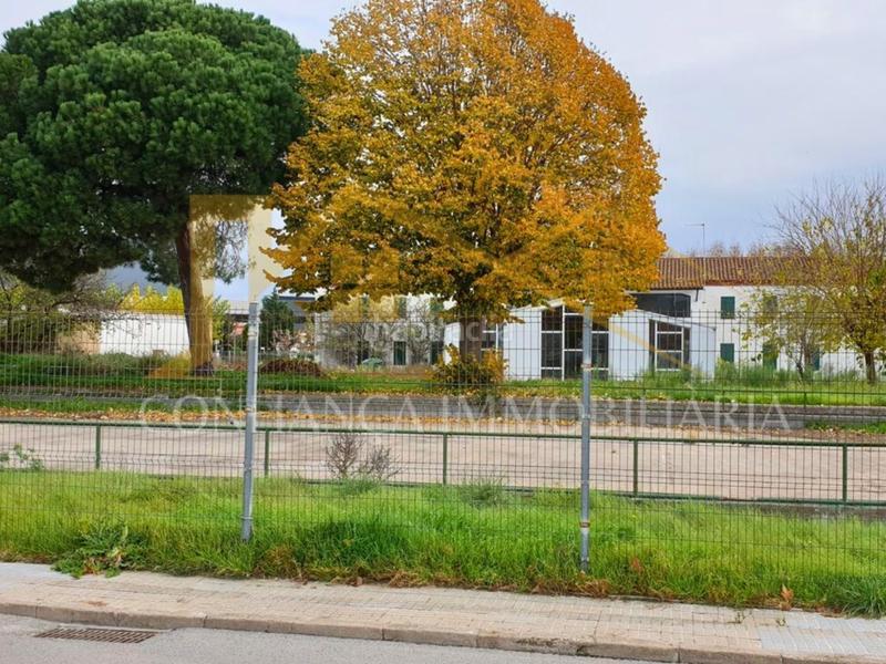 Foto 19396e5f-b338-4f6d-a2a7-ebd887d704a0. Local comercial a Tordera Tordera