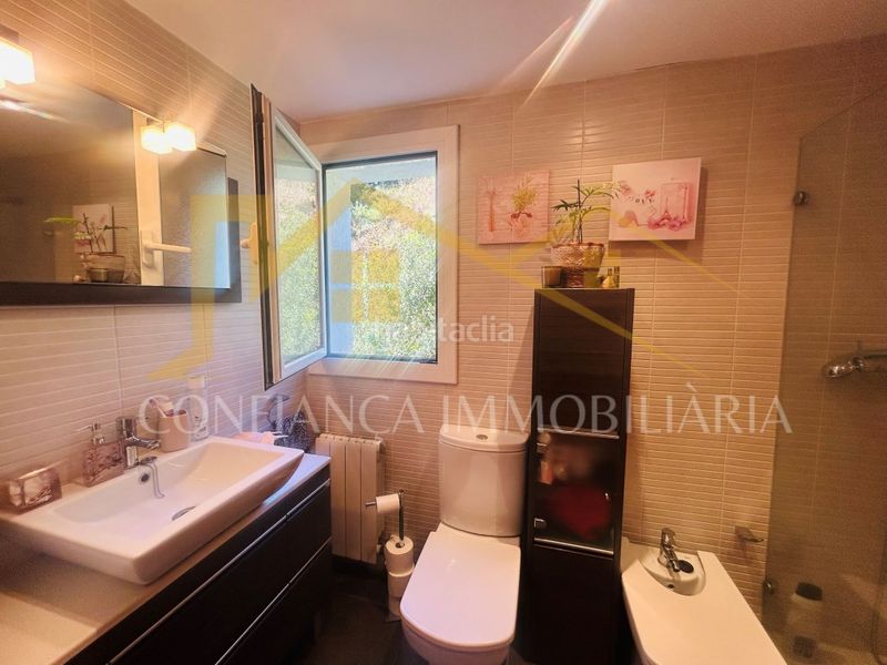 Foto 47fb3c2f-0513-44d6-b609-aa95a53895c1. Pis a Els Pavos Blanes