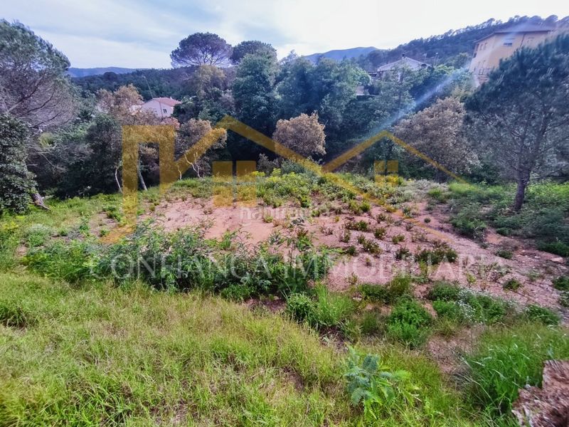 Foto d978b7df-a698-4e57-8137-b47bbef63435. Terreny residencial a Niàgara Parc -Àgora Parc Tordera