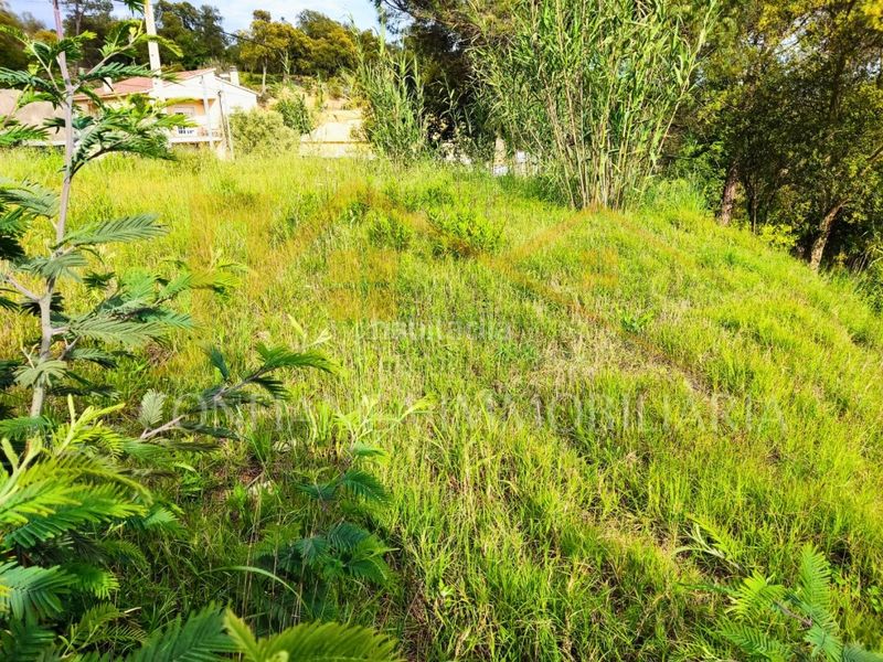 Foto e45368fd-1842-48d2-8896-af7d53b1b060. Terreny residencial a Niàgara Parc -Àgora Parc Tordera