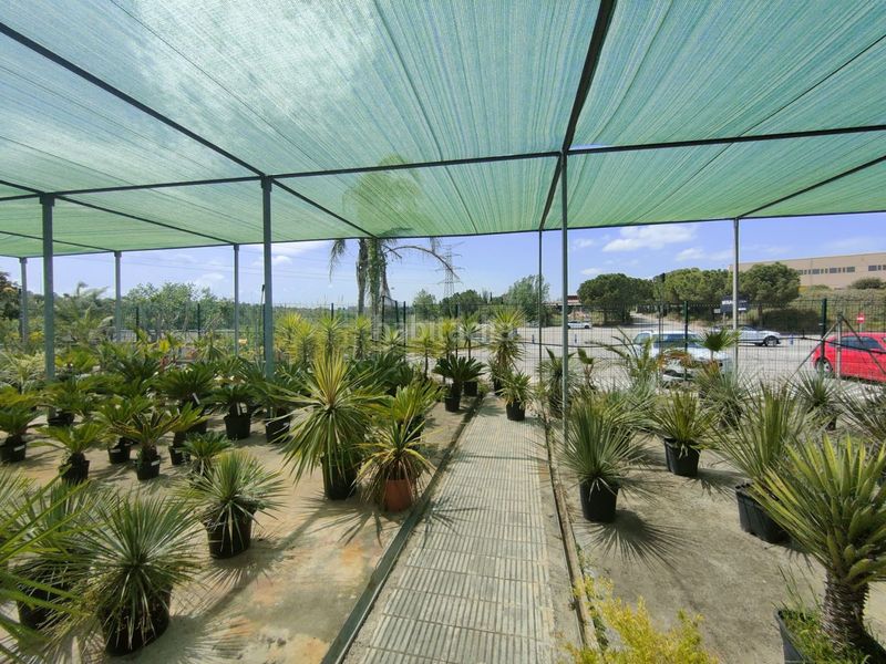 Foto a874fa33-24e9-4c9a-998e-1f2a81de8119. Terreny residencial a Nucli Urbà Esparreguera