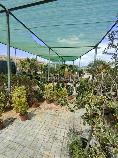 Foto e359702e-ee24-4c91-b912-628ab2e587aa. Terreny residencial a Nucli Urbà Esparreguera