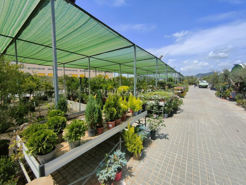 Foto fef29955-a5bd-4f59-beb8-618bc4c55715. Terreny residencial a Nucli Urbà Esparreguera