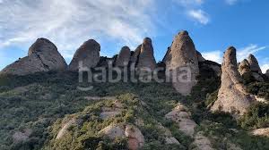 Foto 0cd3d103-2c66-4fe1-9a4a-62cacd898035. Local comercial a Olesa de Montserrat