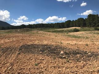 Finca rústica a Caravaca de la Cruz. Oportunidad de compra, se vende esta espectacular finca de secan