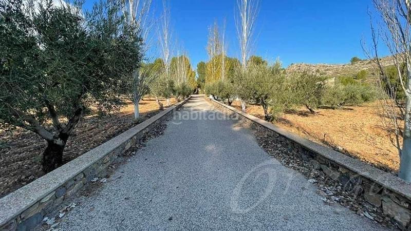 Foto 97743443-f7e1-4013-b4fb-adc72d1c9cb6. Chalet en venta chalet de lujo con finca de oliveras en plena produccion, (murcia) en Bullas