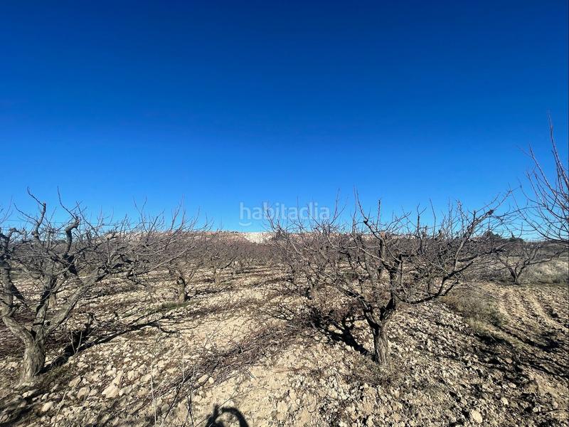 Foto 57e7be0d-4fb4-457b-bae5-049f9bd15401. Finca rústica a Cehegín
