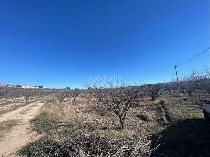 Foto fc5c727b-c76c-4431-bfb7-e6d48a4be42c. Finca rústica a Cehegín