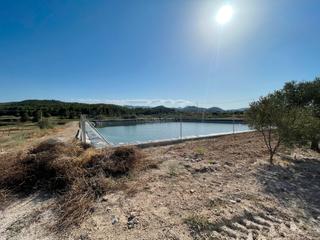 Finca rústica en Cehegín. Se vende finca automatizada en plena producción.