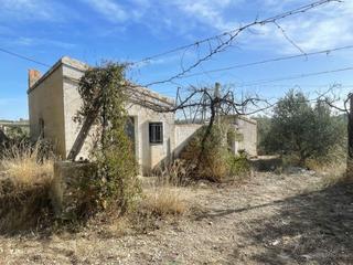 Finca rústica en Cehegín. Se vende finca rustica en plena producción de oliveras con const