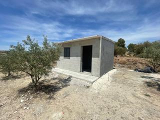 Maison à Cehegín. En venta finca de oliveras con caseta de aperos en cehegin (murc